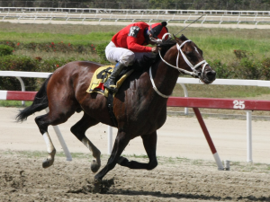 Esta tarde se correrá Clásico Presidencial