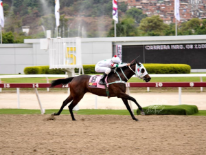 Hemirxon Medina firmó seis montascon chance