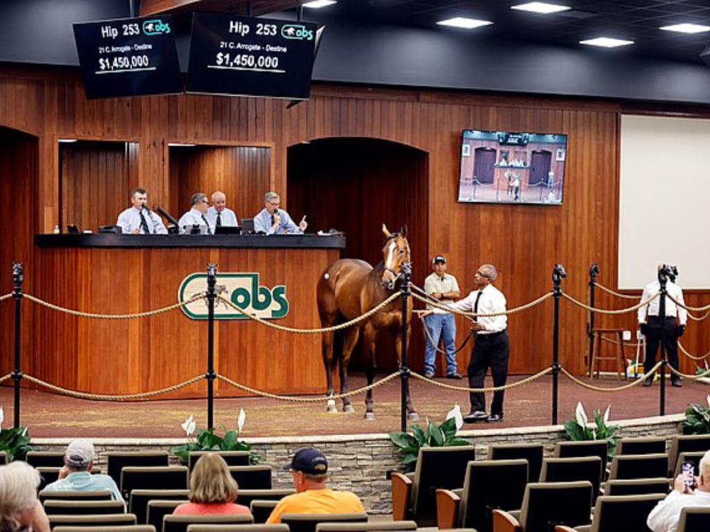 Hijo de Arrogate tuvo mejor precio en subastas