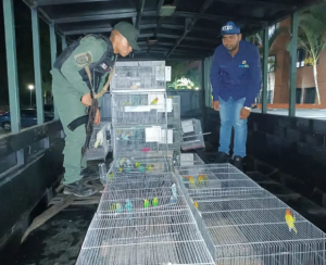 Incautaron 89 animales exóticos en Parque Caiza