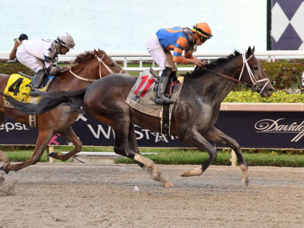 Irad Ortiz Jr. lleva un ritmo arrollador el presente año