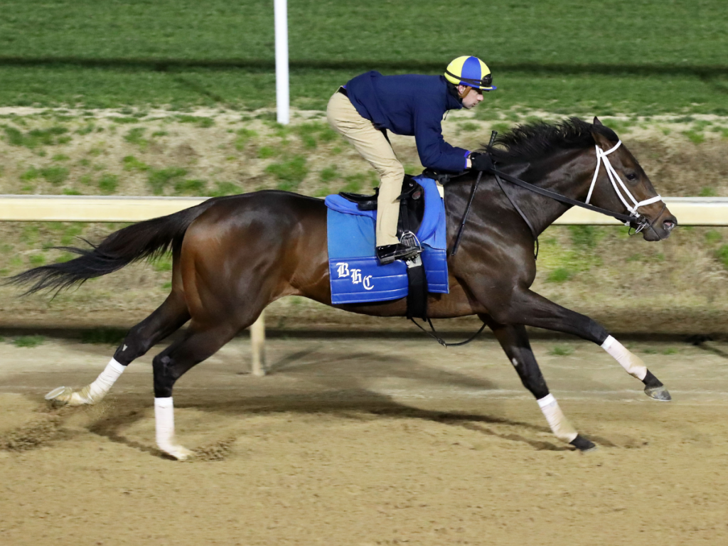 Jace’s Road al Derby por salida de Blazing Sevens