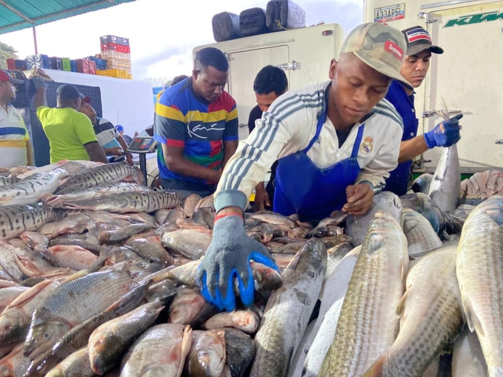 Más de 900 toneladas de pescado ha distribuido el Mercado de Coche