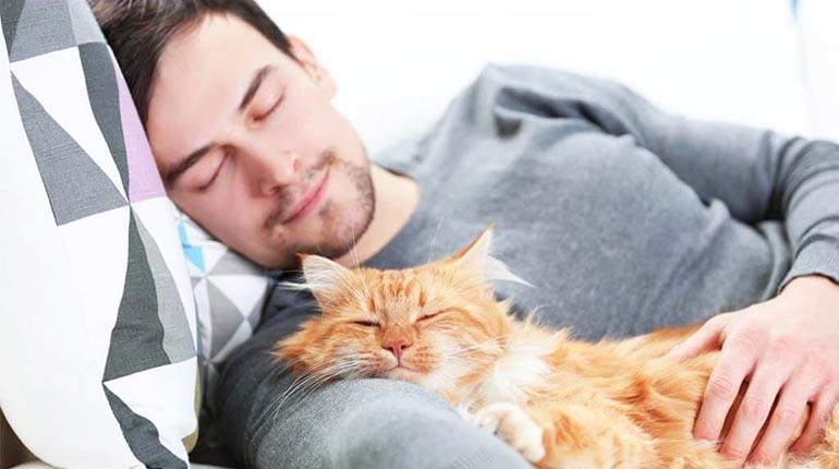 Mascotas pueden alterar el sueño de sus dueños