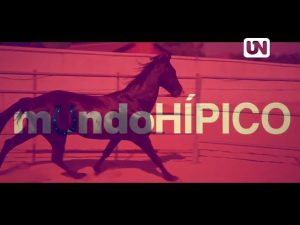 Mundo Hípico TV