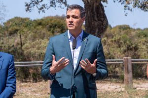 Pedro Sánchez y la UE fustigan plan andaluz para humedales en Parque Nacional Doñana
