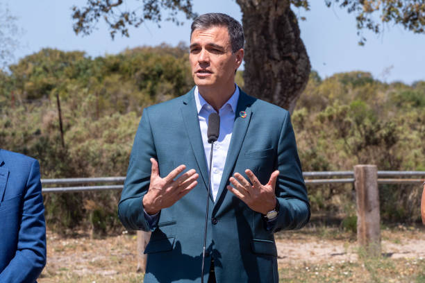 Pedro Sánchez y la UE fustigan plan andaluz para humedales en Parque Nacional Doñana