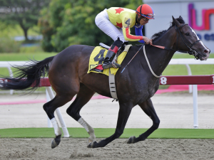 Philomena les metió un galope en el Clásico Blondy