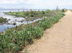 Realizarán en Carabobo XXX Cumbre Ecológica Industrial