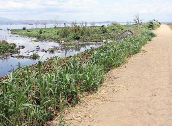 Realizarán en Carabobo XXX Cumbre Ecológica Industrial