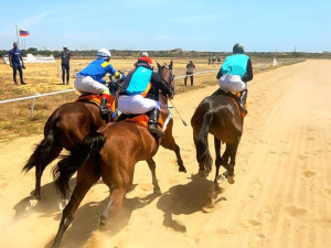 Sake se llevó el Clásico 19 de Abril en Paraguaná Park
