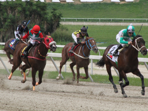 Suspendidos Brito y Rojas por Party Prince