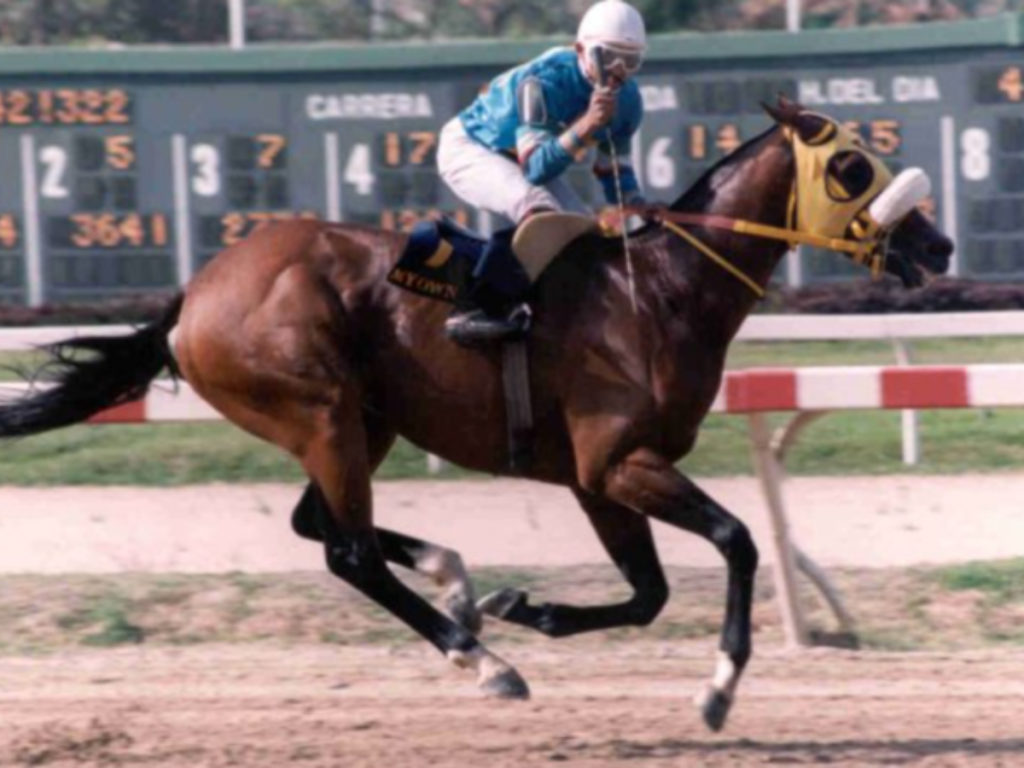 Tovar y Bellardi los más ganadores del presidencial