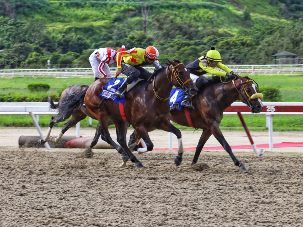 Van cuatro clásicos el domingo en La Rinconada