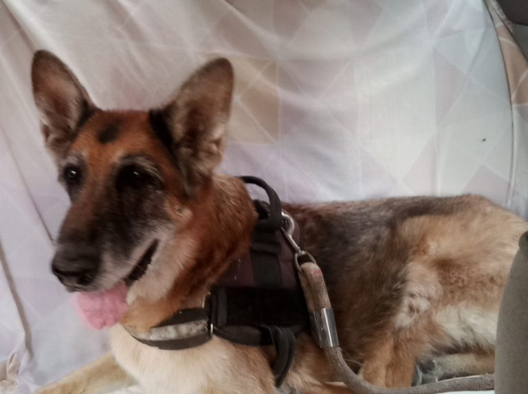 Vivir en un apartamento no le restó alegría a Sofi