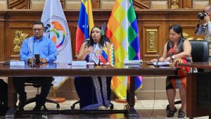 AN celebró sesión especial por Día de la Afrovenezolanidad