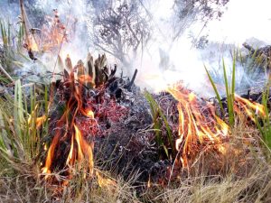 Alertan sobre altas temperaturas en el país cercanas a los 41°C