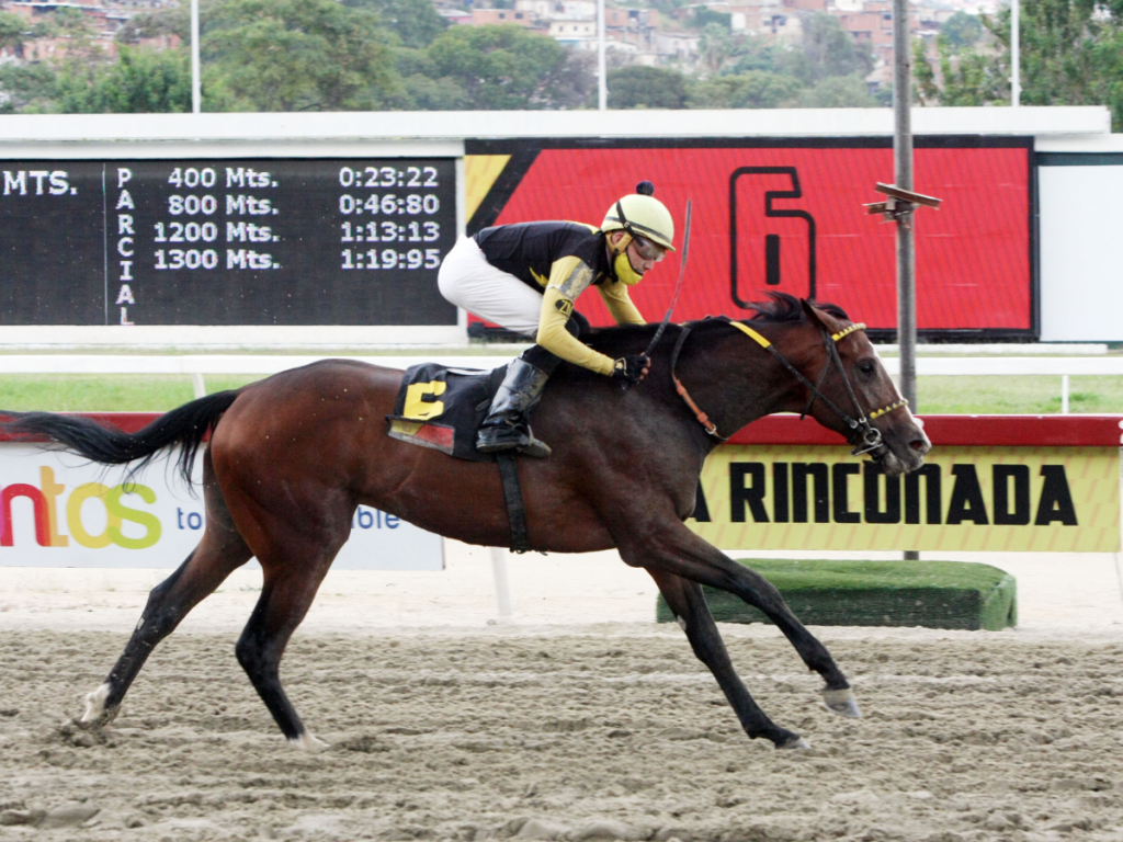 Amelazado está listo para el Juan Arias