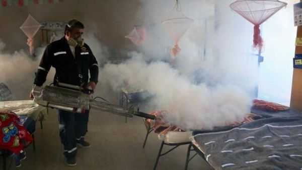 Amplían emergencia sanitaria por brote de dengue en Perú