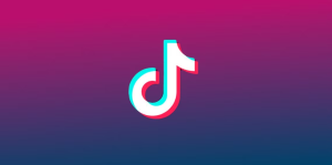 Quién puede unirse al Programa de Creatividad Beta de TikTok: ¿Quién puede participar?