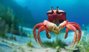 El director de La Sirenita no quería que los aspectos técnicos del remake resten protagonismo a la película