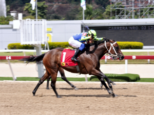 Cipriano Gil tendrá siete montas en Rancho Alegre