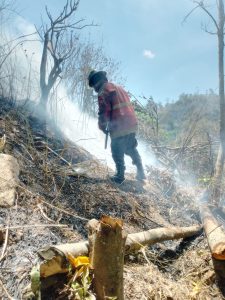 Combaten incendios en el Waraira Repano