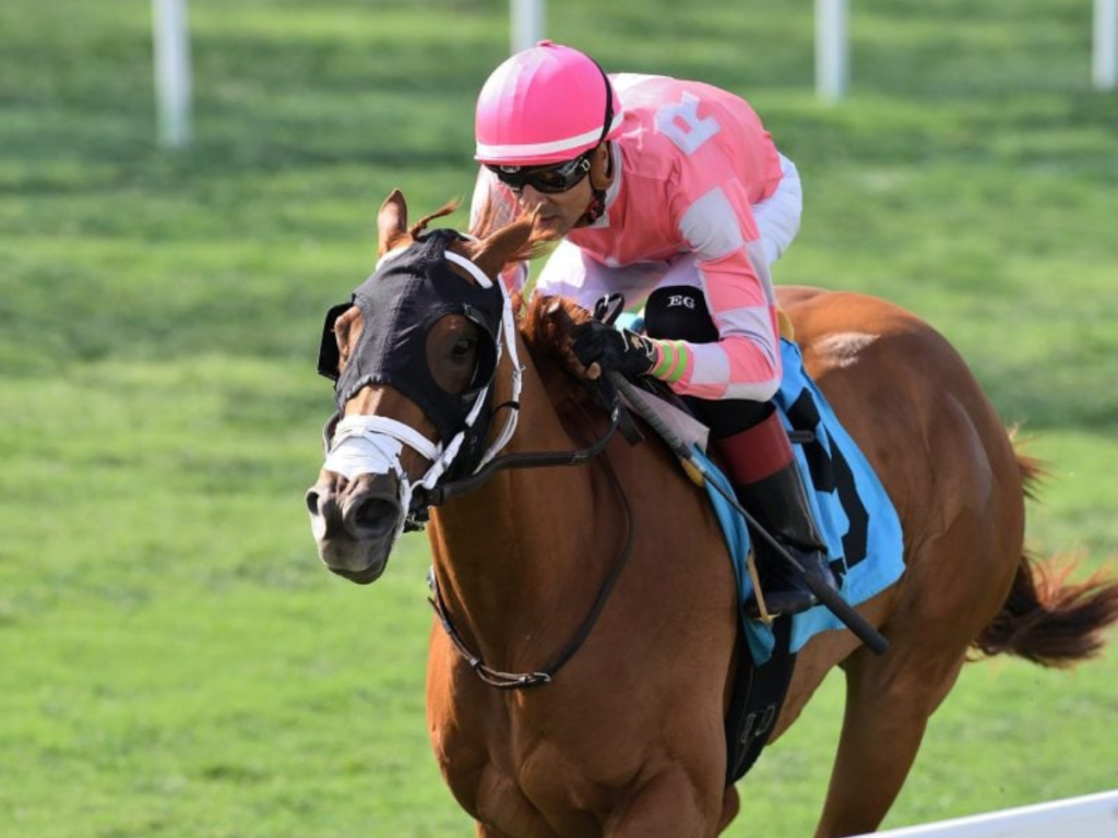 Crimson Advocate y No Nay Mets con cupo al Royal Ascot