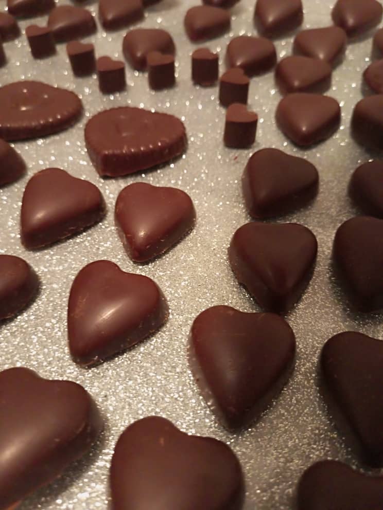 Dauna Kakao: el chocolate premium en Delta Amacuro 