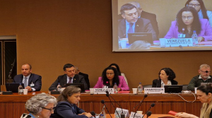 Venezuela presenta logros en materia de DD.HH. de la mujer ante la ONU