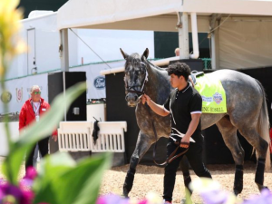 El “fantasma” de los retirados