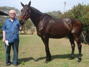 Falleció Mauricio Azar Semane a los 90 años