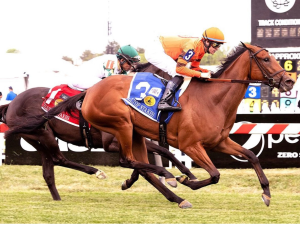Flavien Prat ganó 5 stakesel fin de semana en Pimlico
