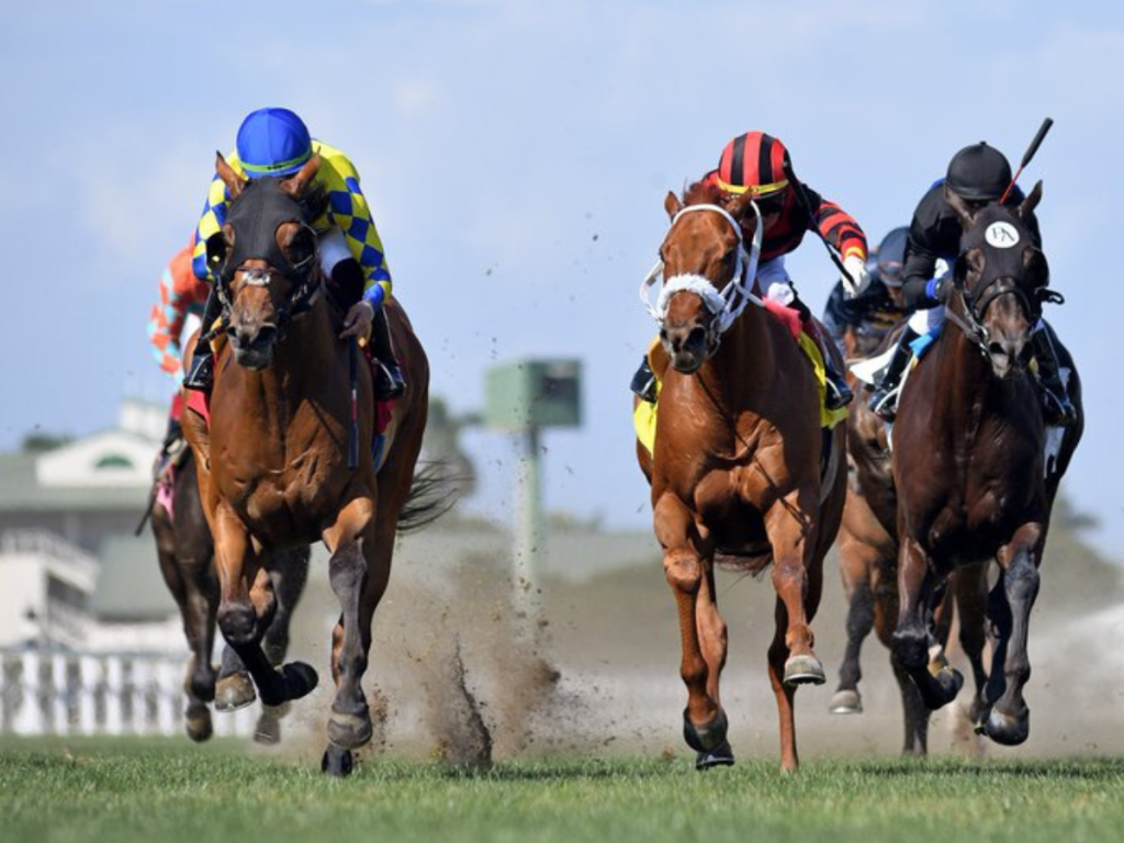 Francisco Arrieta en busca de otro récord en EE.UU