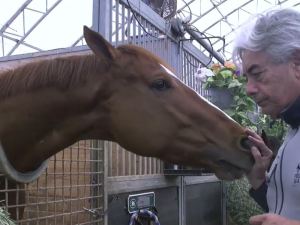 G-Delgado:“Mage se adaptó ya a Kentucky”