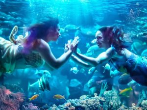 "Gente sirena", Netflix hurga en las profundidades de esta realidad