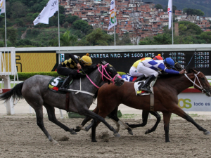 Inicia la Triple Corona de hembras