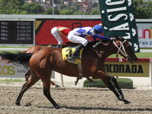 LyndaCarter reaparece ala caza de ir al Simón Bolívar