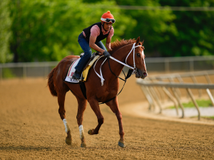 Mage sale este sábado a la pista por otro triunfo