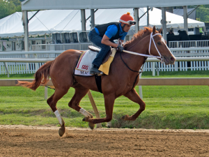 Mage va tras la marca de Cañonero