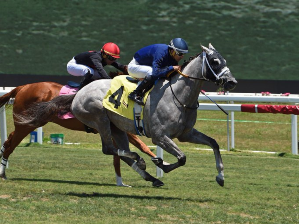 Nueve aspirantes para el Preakness