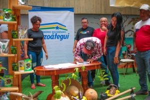 Plan siembra comunal 2023 cultivará mil hectáreas de maíz en Anzoátegui