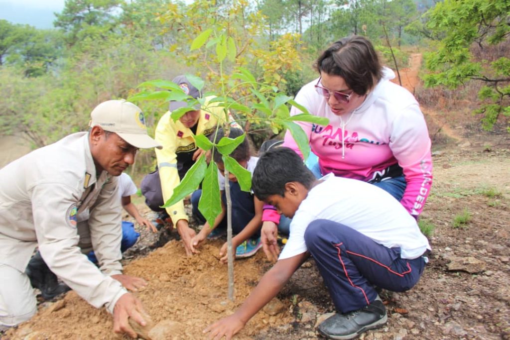 Recuperarán espacios del Parque Cerro El Café en Carabobo