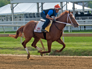 Registros históricos le dan a Mage clara opción
