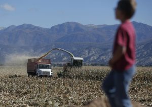 Republicanos lideran leyes que incentivan el trabajo infantil