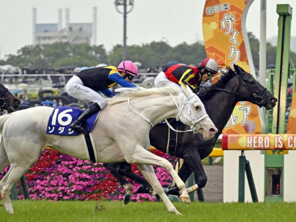 Sodashi y Songline se enfrentarán nuevamente