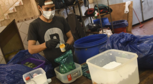 Hoja de coca saborizada la oferta que cambia su modo de consumo en Bolivia