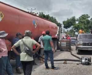 132 mil hectáreas de maíz van sembradas en Portuguesa