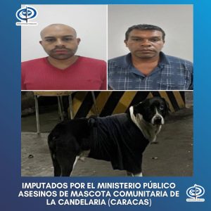 AN afina proyecto de ley sobre trato digno a los animales de compañía