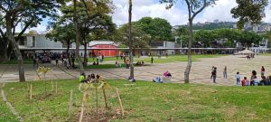 Alfonzo: La democracia está viva con elecciones de la UCV